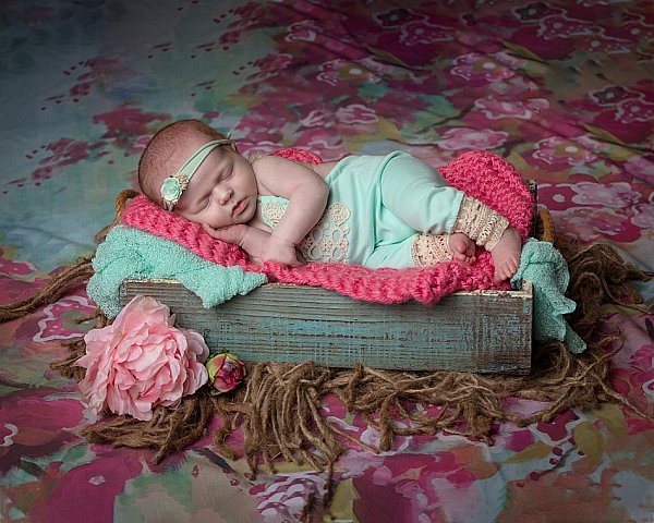 Minnesota Newborn Girl Photo